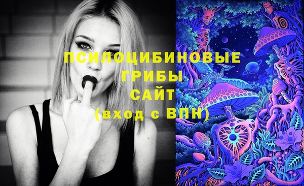 молекула духа Алексин
